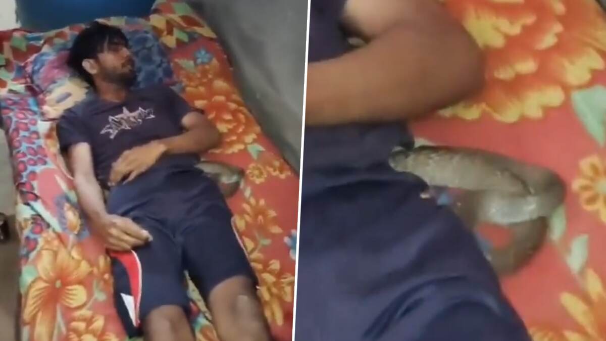 Meerut Shocker: पत्नीने प्रियकराच्या मदतीने केली पतीची गळा दाबून हत्या; अपघात भासवण्यासाठी बेडवर ठेवला विषारी साप, 'असा' झाला खुलासा